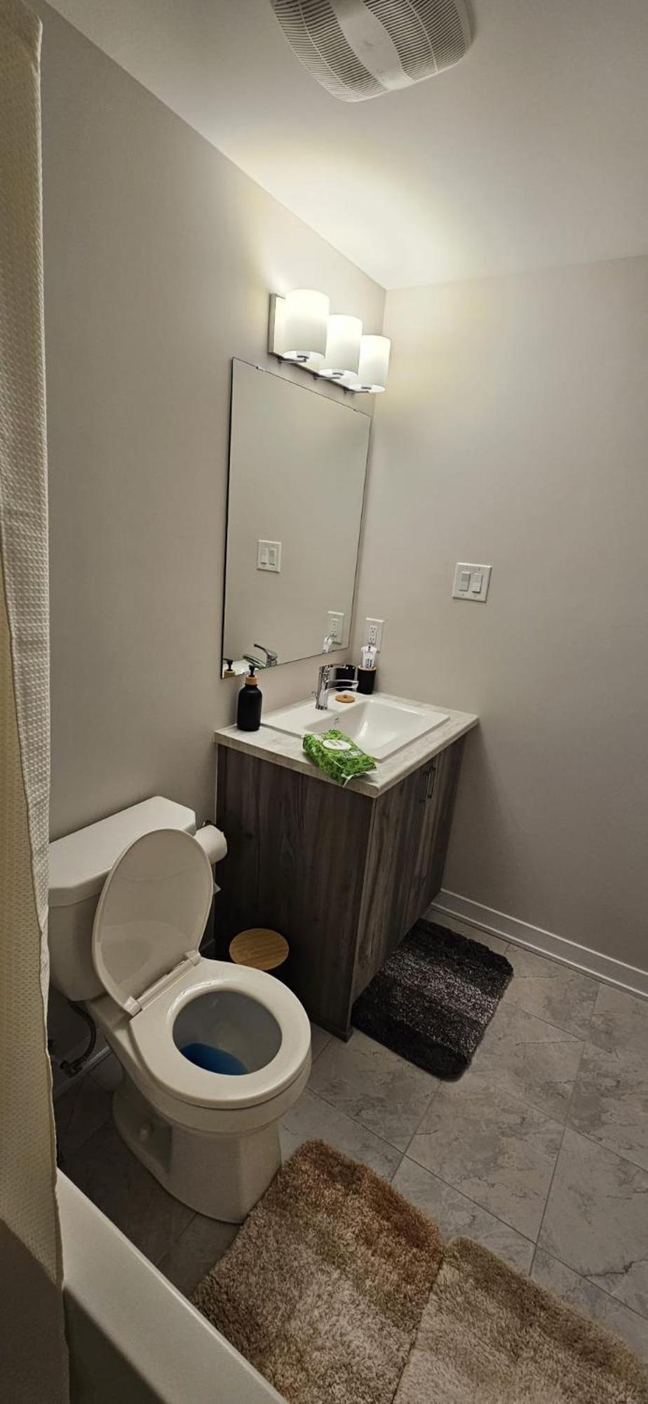 Homestay Charming And Peaceful With Dedicated Bathroom In Ottawa
